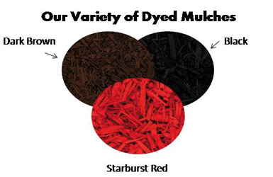 mulch_dyed