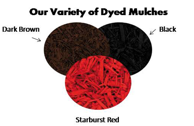 mulch_dyed