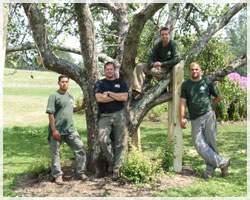 ArborCare Tree Service, Inc